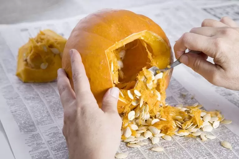 Pumpkin Carving Plumbing Woes Plumber