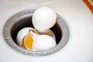 Eggs Garbage Disposal
