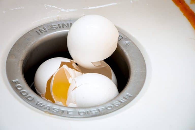 Are Garbage Disposals Harmful to Your Plumbing? Here's What You Need to Know My Plumber