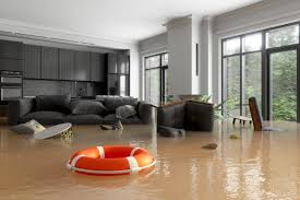 Flooded Living Room Take 2
