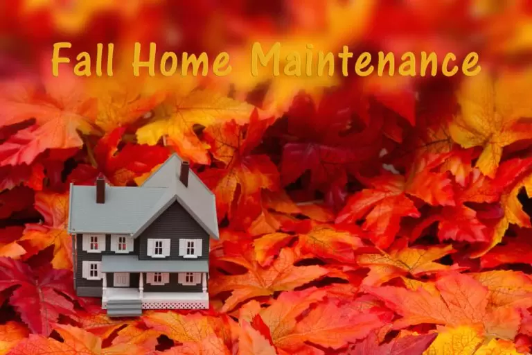 Home Maintenance With Leaves