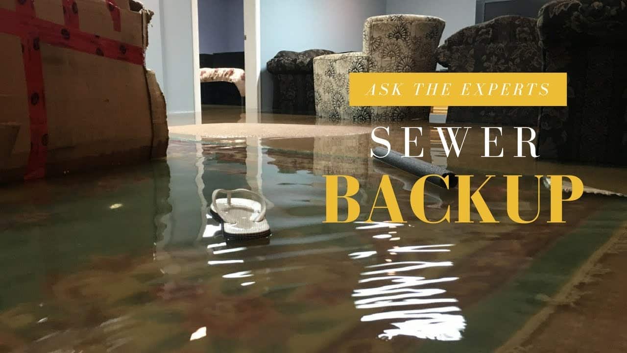 Sewer Backup